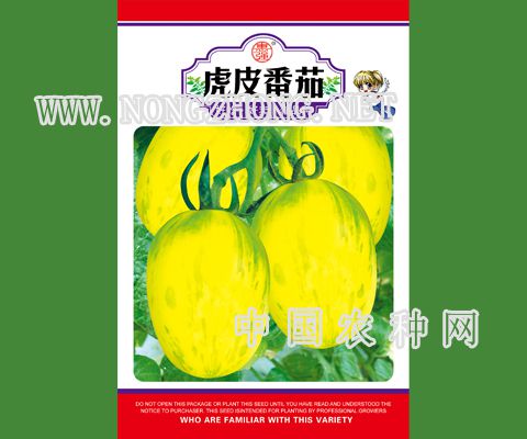 虎皮番茄